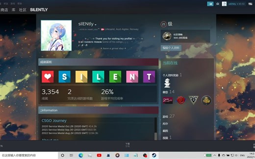 【不止艺术作品】Steam个人主页装饰，更加全面的利用展柜以及一切填信息处,概要。