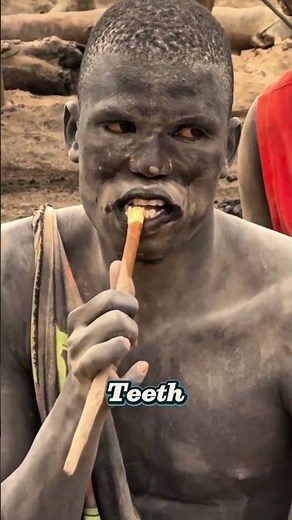 Earth’s Bristles: The Mundari’s Tree-Born Toothbrush”