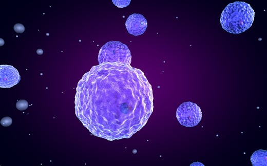 TUNEL检测细胞凋亡