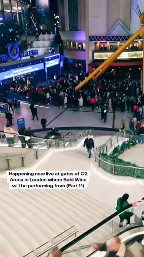 bricepromotionz on TikTok