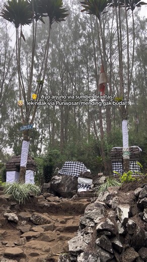 Arjuno Via Purwosari atau Sumber Brantas? Pilih Mana? 🧗‍♂️