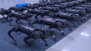 El temible “ejército” de perros robots en China