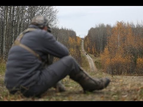 Guns, Grizzlies, Guiding And Meth