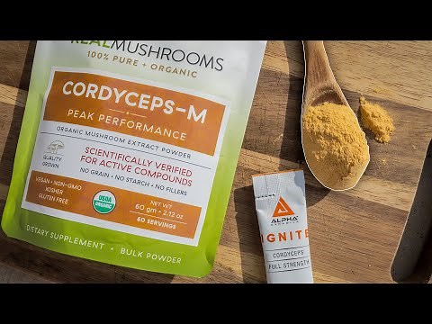 CORDYCEPS 101 🍄| Everything You Need To Know