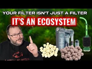 Biological Filtration: The Most Important Part of Your Aquarium | Understanding Aquariums Episode 1