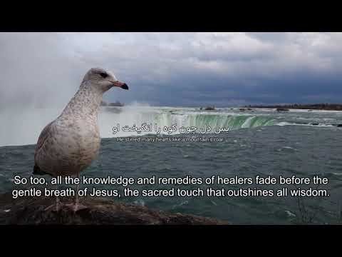 Echoes of the Heart: Embrace the Night: Finding Light in the Shadows of Your Soul