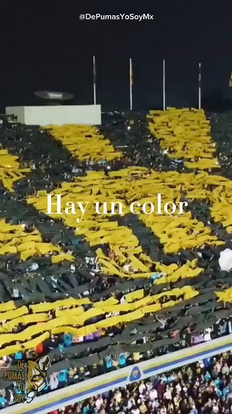 Colores de Pumas para toda la vida