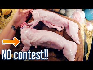 Meat-Mutt v.s. Purebred Meat Rabbits: How do they compare ?