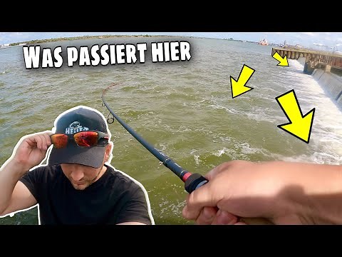 EXTREM Spot. Angeln auf Zander und Rapfen im Strom