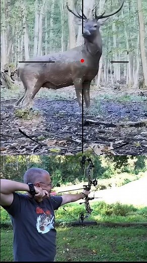 Extreme Elk Hunting with a Bow | Silent Close-Range Archery Hunt #bowhunting