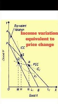 income variation Equivalence to price change