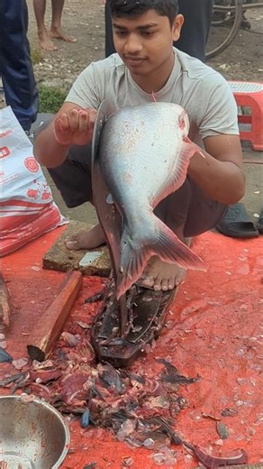 Wow Amezig village Pangas Head Cutting world #fishcutting #fishcooking #shorts