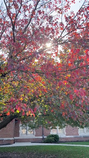 11K views · 213 reactions | Falling for JCU… again and again  Explore campus, join a tour, and fall in love with JCU at Fall Preview Day on October 18th. Register now at the link below!  https://admission.jcu.edu/register/fallpreviewday2025 | John Carroll University | Facebook