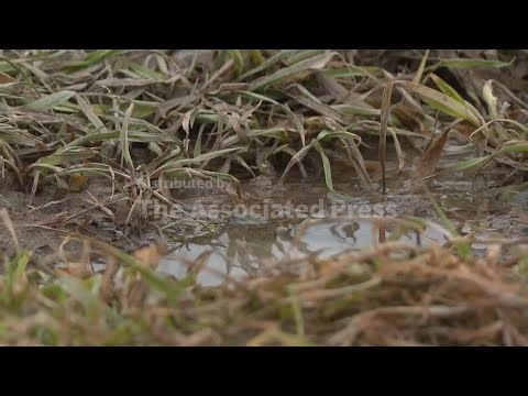 Nitrate pollution, agriculture’s persistent problem, expected to worsen with warming winters