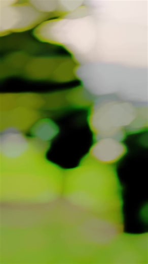 @ONE__STØKS.Y🤨🔥