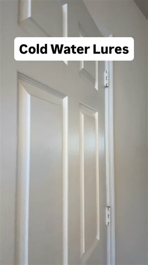 Elisha on Instagram: "Flat sided crank bait. Jerk bait. Blade bait. Lipless crank bait. Ned rig. Small swim beats. Cold water fishing lures. #fishing"