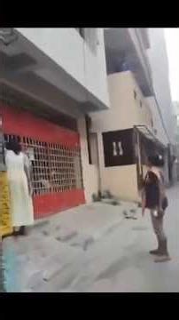 പൂച്ചക്കുട്ടികൾക്ക് 'ചിലവിനു' കൊടുക്കാൻ പറ്റില്ല| Bengaluru Police Settle Unusual Cat Dispute #viral