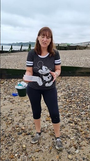 GCSE Geography coastal fieldwork. Sediment collection 2