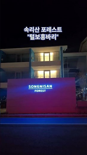 밤에 더 아름다운 속리산 포레스트 #속리산포레스트 #속리산 #속리산국립공원 #여행 #보은리조트 #보은호텔 #속리산호텔 #속리산최고급 #최고리조트 #야경명소 #속라산명소 #명소투어