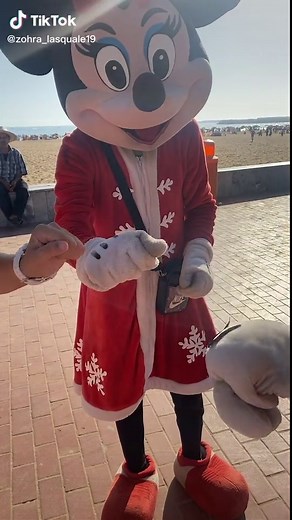 Minnie Mouse Costume Adventure at the Beach