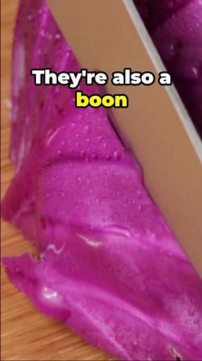 Why Purple Foods are the Key to a Vibrant Lifestyle #healthylifestyle