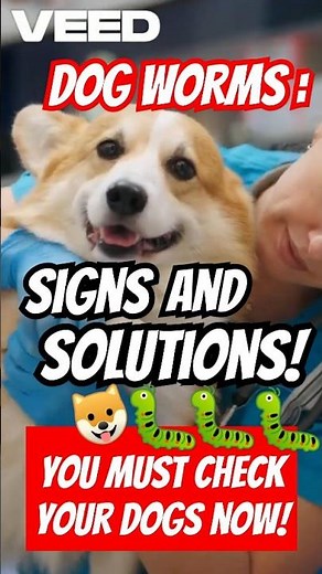 Dog Worms : Signs & Solutions 🐶🐛