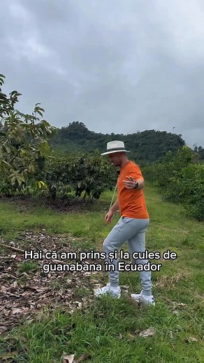 12K views · 2.5K reactions |  Guanábana — direct din Ecuador, un...