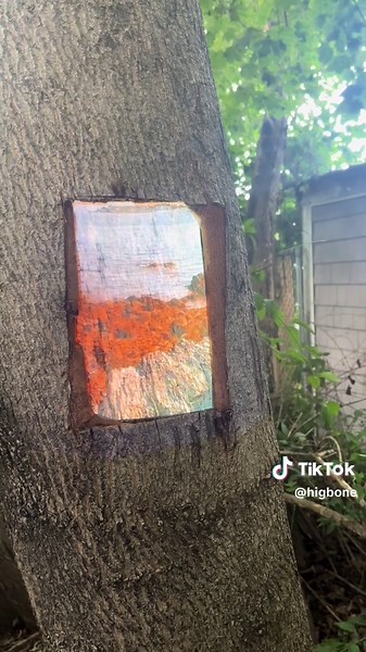 work in progress: ocean in a tree, year 2. #vhs #glitch #ocean #art #project