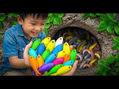 Catching Tropical Fish in Giant Colorful Eggs 🐠 Betta, Discus, Phoenix & Glassfish Adventure!