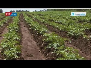 The Ksh. 4 Billion SNV Project to Enhance Climate Smart Agriculture in East Africa