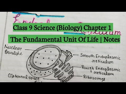 Class 9 Science (Biology) Chapter 1/ The Fundamental Unit Of Life || Notes ||Excellent Work