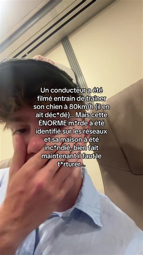 Un Conducteur Fait Traîner Son Chien à 80 km/h