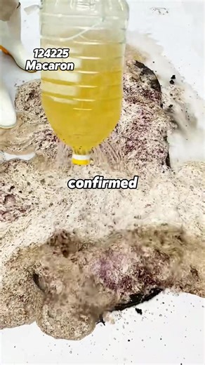 Part 2#stories #novel