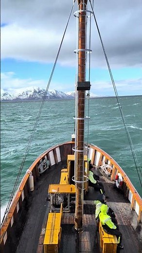 Whale watching in Husavik, Iceland #travel #iceland #husavik #teampixel