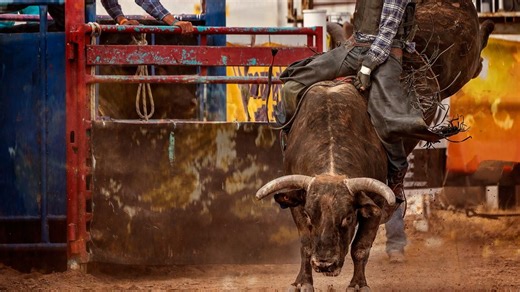 Austin Dillon celebrates Carolina Cowboys winning PBR Team Championship
