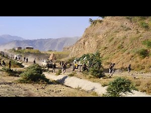 ArmaTegaru | ፅንዓት ድልውነት #TDF ንዘይተርፍ ዓወት ወይክ ፈተክ ፣ ትግራይ ትስዕር | New Tigray Tigrigna Video 2022