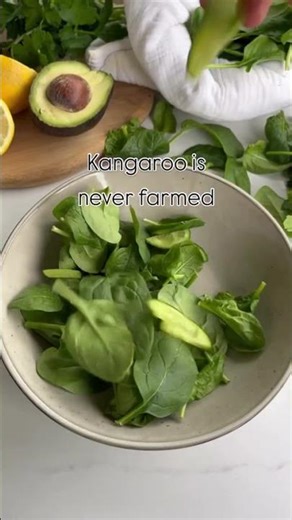 Kangaroo Steak Salad