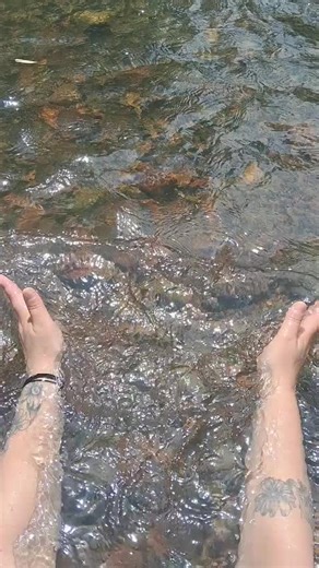 Os vídeos de Alexa da Silva (@alexa_silva2) com som original - Musiczayra