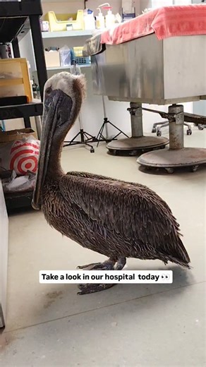 465 reactions · 30 shares | Here's a sneak peek at what's happening...