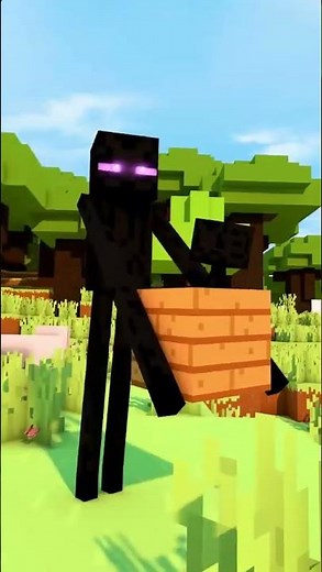 Minecraft animation
