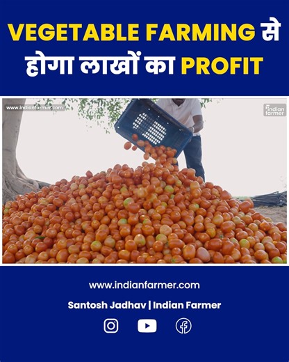 125K views · 2.8K reactions | Vegetable Farming कैसे शुरू करें?Step by Step पूरी जानकारी ✅ | Indian Farmer | Indian Farmer | Facebook
