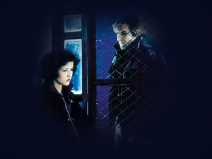 Police - Apple TV (FR)