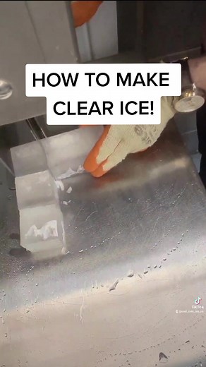 Cool Cats Ice on TikTok