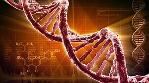 Dna Strand Stock Footage Video (100% Royalty-free) 654601 | Shutterstock