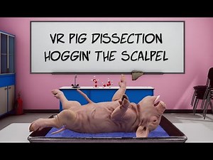 VictoryXR and Carolina Biological's Virtual Pig Dissection - Hoggin' The Scalpel