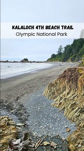 Kalaloch 4th Beach Trail Adventure - Olympic National Park - Tidepools, Sea Stacks & Driftwood