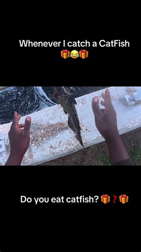 Catch and Release Catfish Fishing Tips