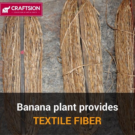 Biodegradable and natural, the Banana Fiber is made from the stem of the banana tree and is incredibly durable. It can be used to make ropes, mats, woven fabrics as well as handmade papers. | Craftsion