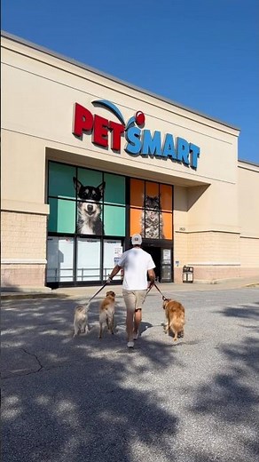 The dogs LOVE shopping at ‪@petsmart‬ #PetSmartPartner