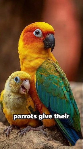 “10 Crazy Animal Facts You’ll Never Believe 🐾 | Unbelievable Nature Facts #amazinganimalfacts